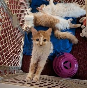 Meet your Posher, Cindy